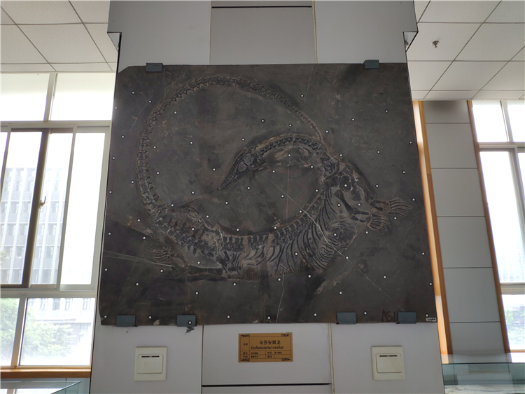武汉中天云迪科技有限公司：利用3D扫描存储2亿多年前的恐龙化石