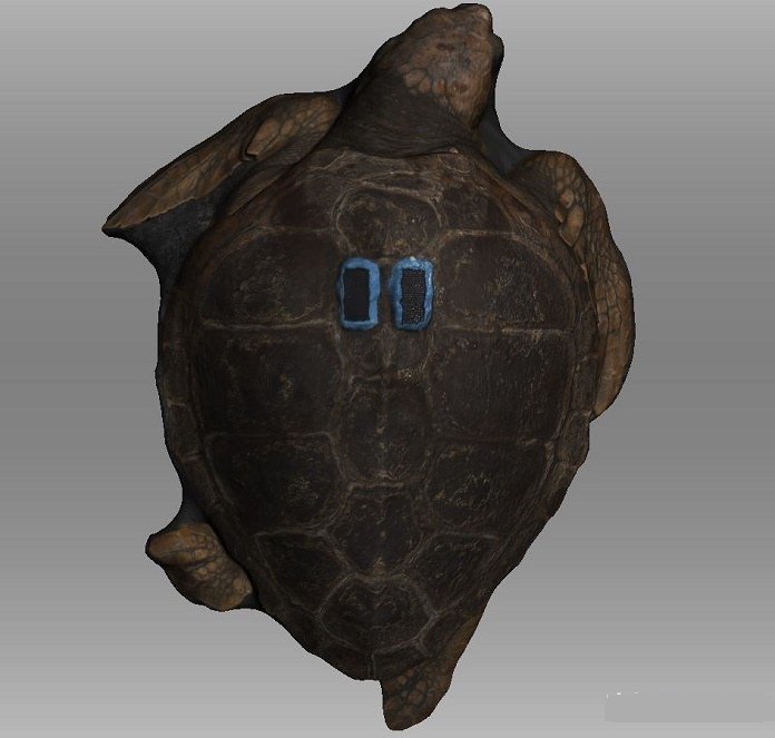 武汉3d打印